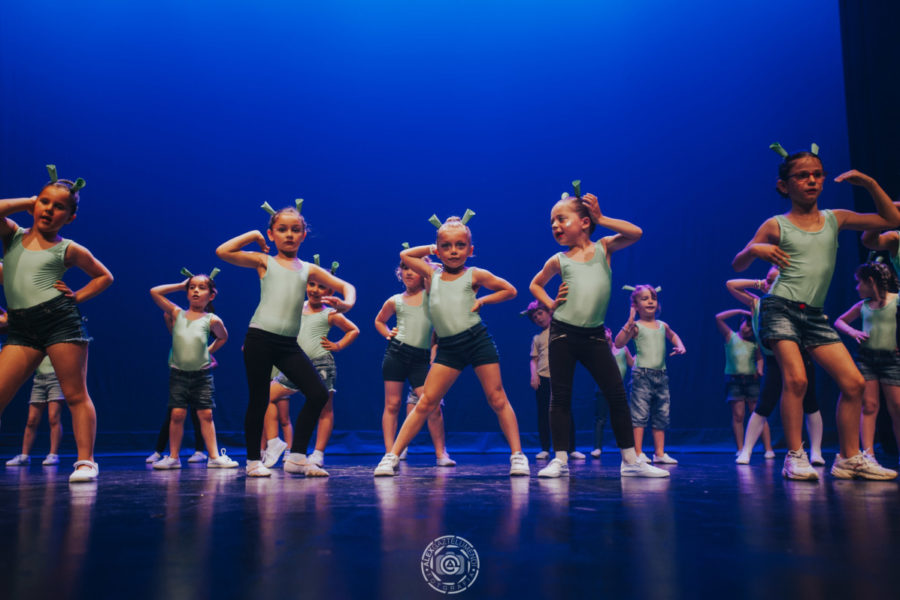 FESTIVAL FIN DE CURSO 2018