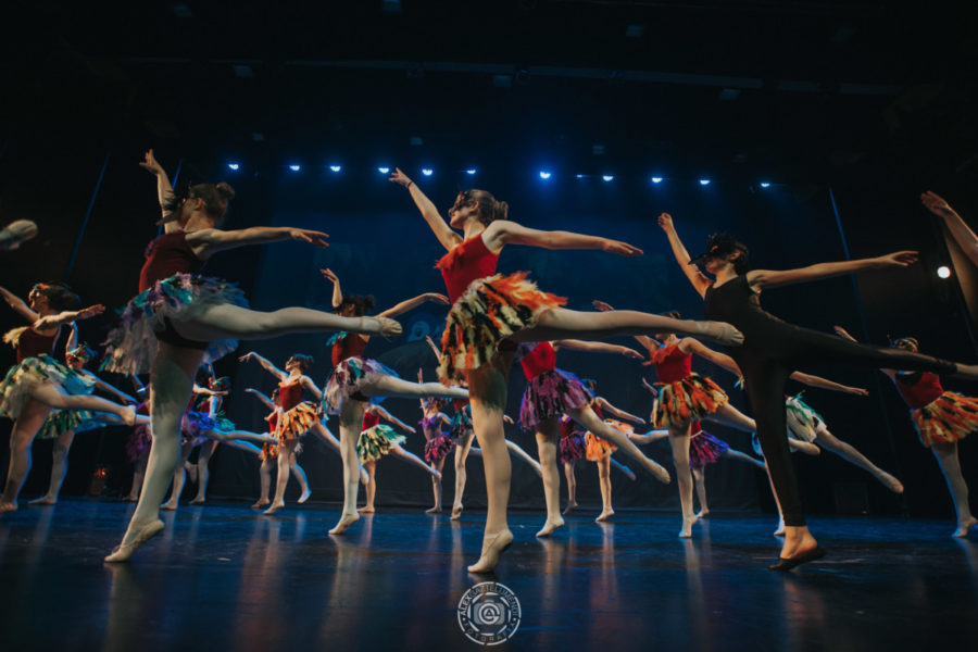FESTIVAL FIN DE CURSO 2018