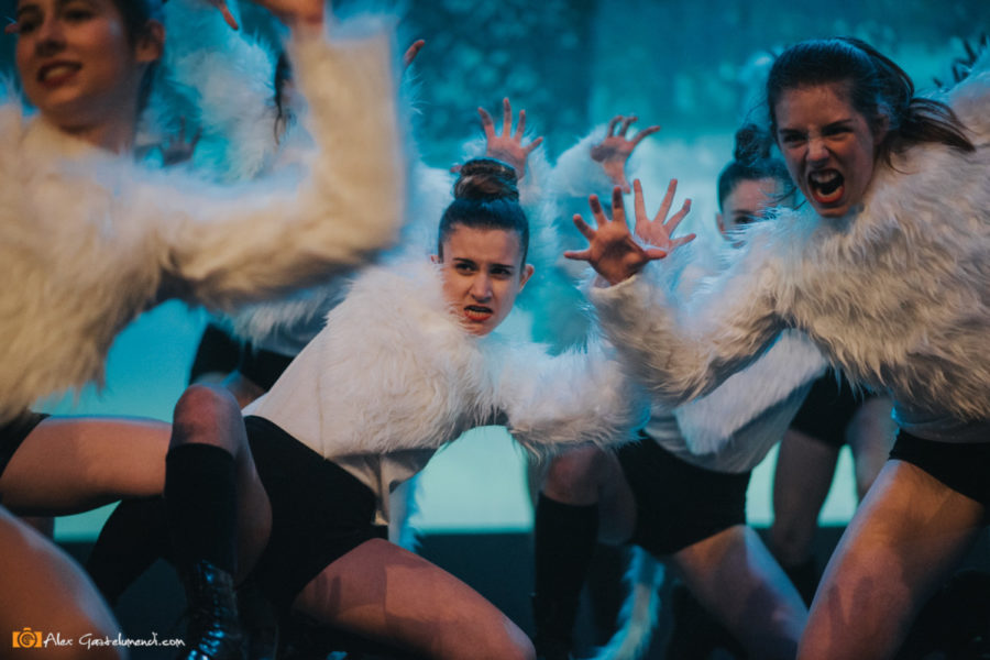 ADAPTACIÓN MUSICAL BELLA Y LA BESTIA