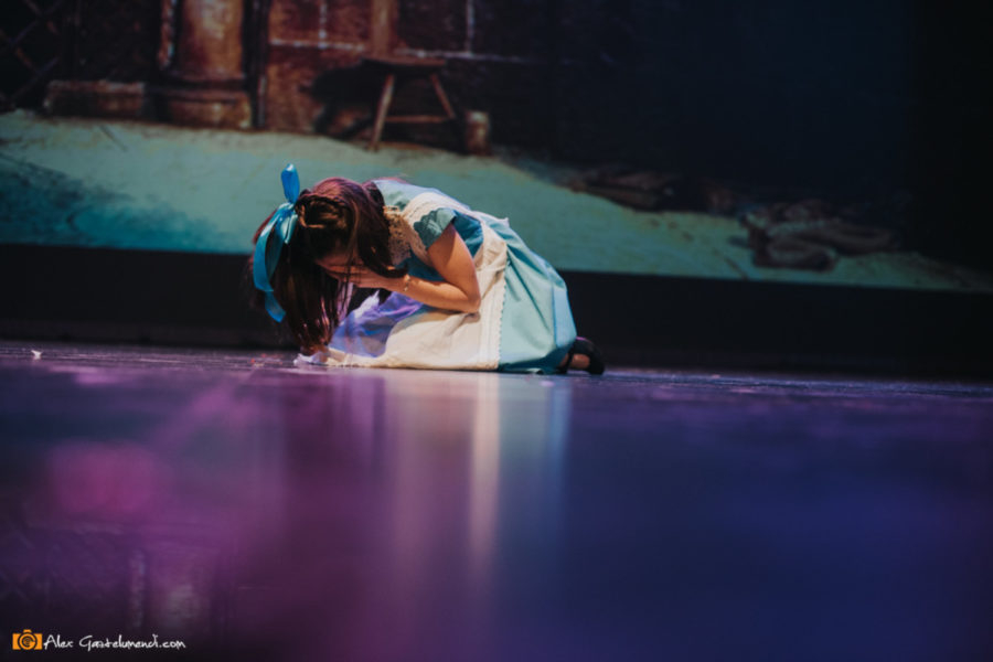 ADAPTACIÓN MUSICAL BELLA Y LA BESTIA