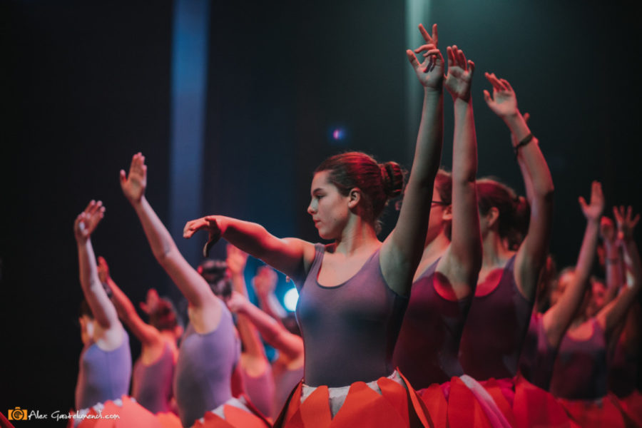 ADAPTACIÓN MUSICAL BELLA Y LA BESTIA