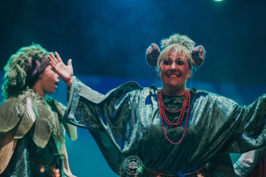 MUSICAL DE FROZEN
