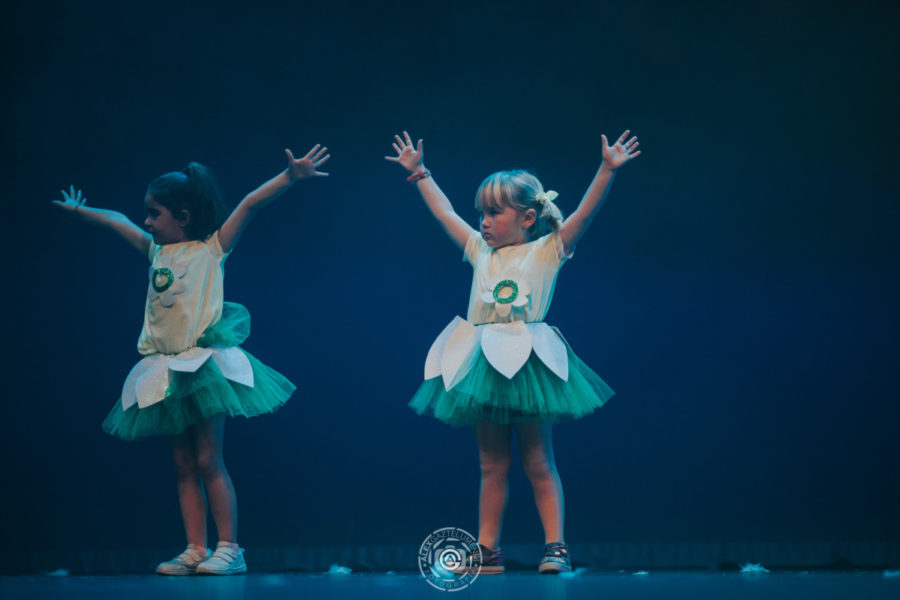 MUSICAL DE FROZEN
